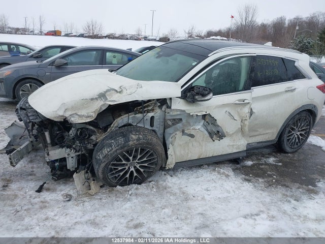 3PCAJ5BB1MF126081 Infiniti Qx50 Luxe/luxe I-line