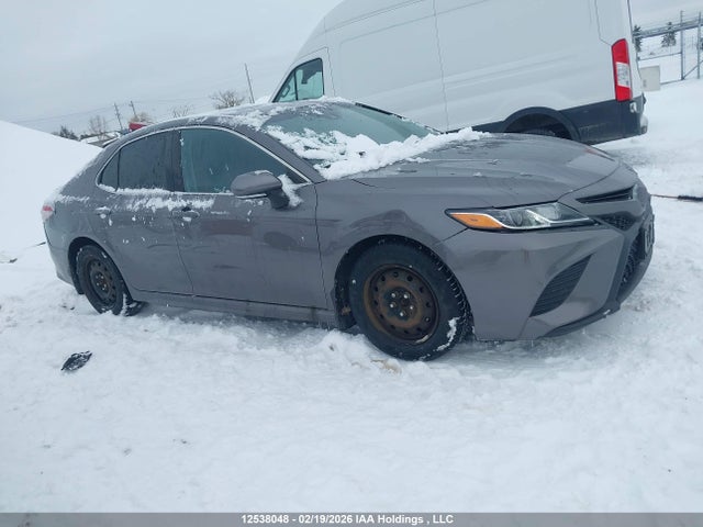 4T1B11HK6KU703885 Toyota Camry L/le/xle/se/xse