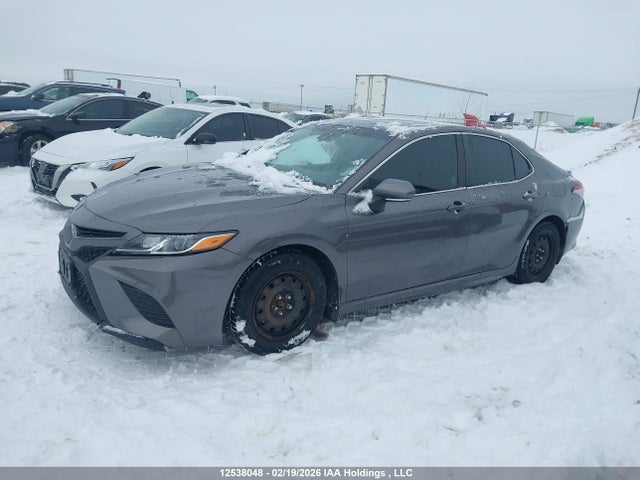 4T1B11HK6KU703885 Toyota Camry L/le/xle/se/xse