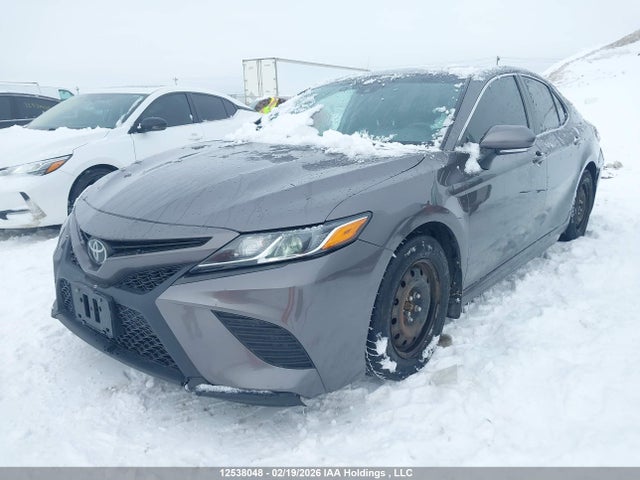 4T1B11HK6KU703885 Toyota Camry L/le/xle/se/xse