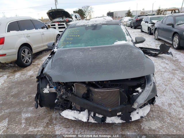 KMHLN4AG7PU524262 Hyundai Elantra Luxury Ivt