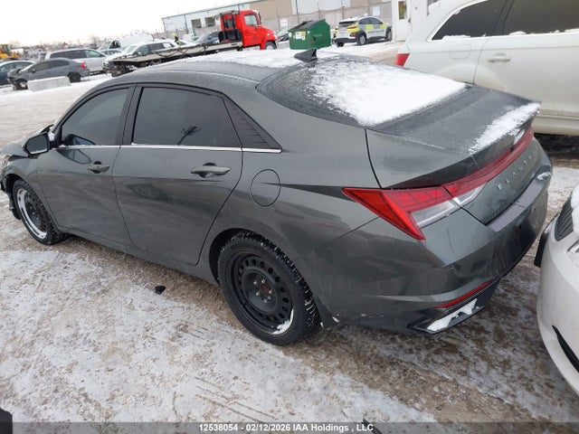KMHLN4AG7PU524262 Hyundai Elantra Luxury Ivt