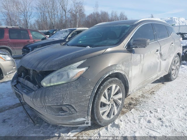 Aukcja sprzedaży 2017 Nissan Murano Platinum/sl/sv, vin: 5N1AZ2MH6HN194758, numer aukcji: 12538095