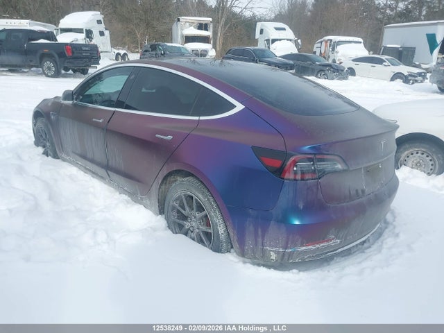 2019 Tesla Model 3 მანქანა იყიდება აუქციონზე, vin: 5YJ3E1EA1KF416729, აუქციონის ნომერი: 12538249