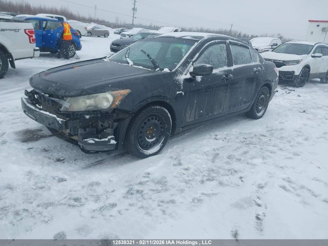 2010 Honda Accord Exl მანქანა იყიდება აუქციონზე, vin: 1HGCP2F87AA800423, აუქციონის ნომერი: 12538321