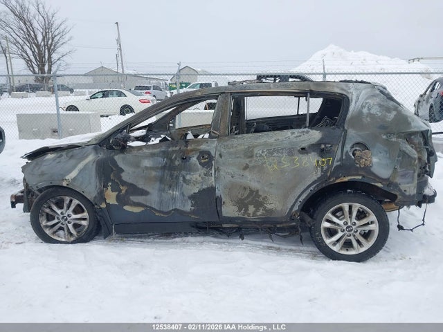 KNDPNCAC3H7057497 KIA Sportage