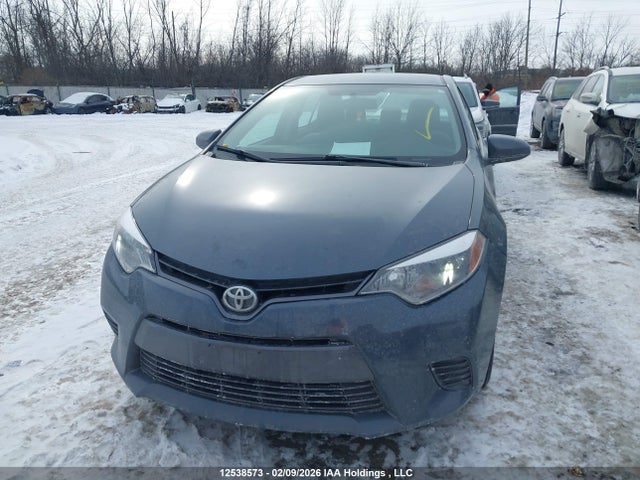 2T1BURHE2GC514806 Toyota Corolla L/le/le Pls/prm/s/s Pls