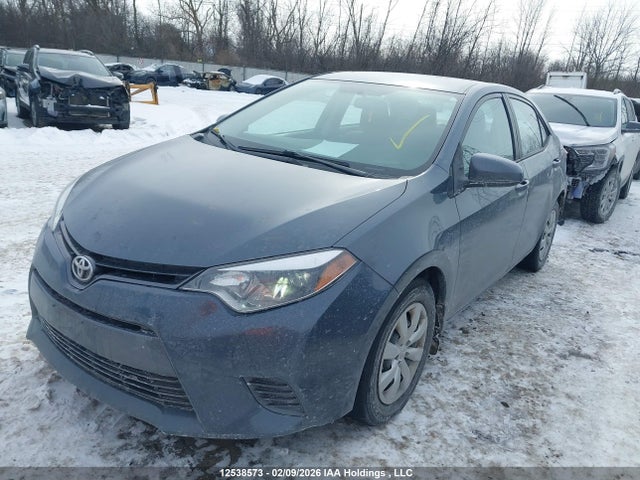 2T1BURHE2GC514806 Toyota Corolla L/le/le Pls/prm/s/s Pls