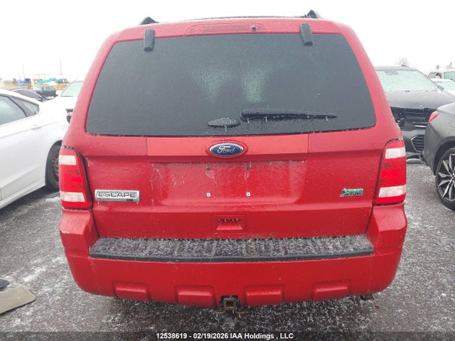 Продаж на аукціоні авто 2011 Ford Escape Xlt Automatic, vin: 1FMCU0DG4BKB08133, номер лоту: 12538619