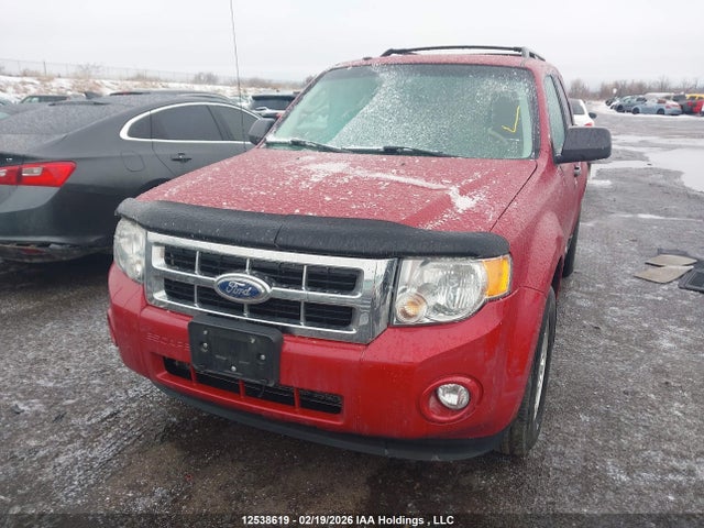 Продаж на аукціоні авто 2011 Ford Escape Xlt Automatic, vin: 1FMCU0DG4BKB08133, номер лоту: 12538619