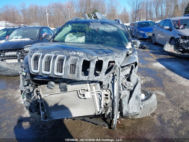 Jeep Cherokee Limited 2017 1C4PJMDS9HD217145 Image 12