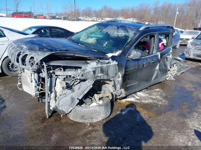 Jeep Cherokee Limited 2017 1C4PJMDS9HD217145 Image 2