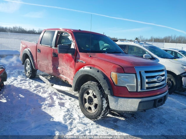 12538686 :رقم المزاد ، 1FTEW1E81AFD44430 vin ، 2010 Ford F150 Supercrew مزاد بيع