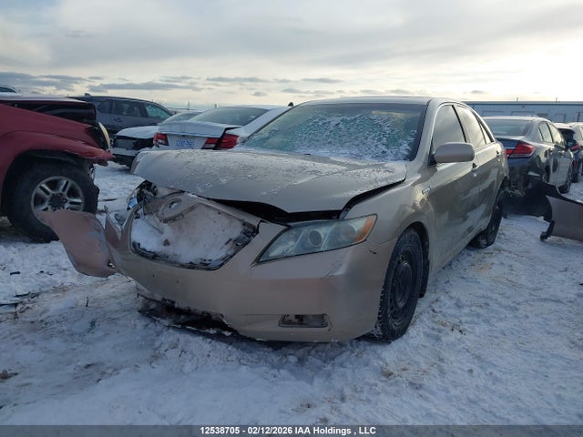 12538705 :رقم المزاد ، 4T1BB46K99U073176 vin ، 2009 Toyota Camry Hybrid مزاد بيع