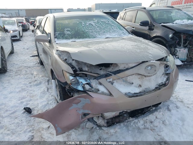 12538705 :رقم المزاد ، 4T1BB46K99U073176 vin ، 2009 Toyota Camry Hybrid مزاد بيع