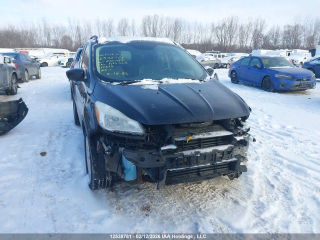 1FMCU9GXXGUA24555 Ford ESCAPE SE