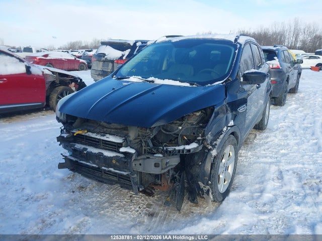 1FMCU9GXXGUA24555 Ford ESCAPE SE