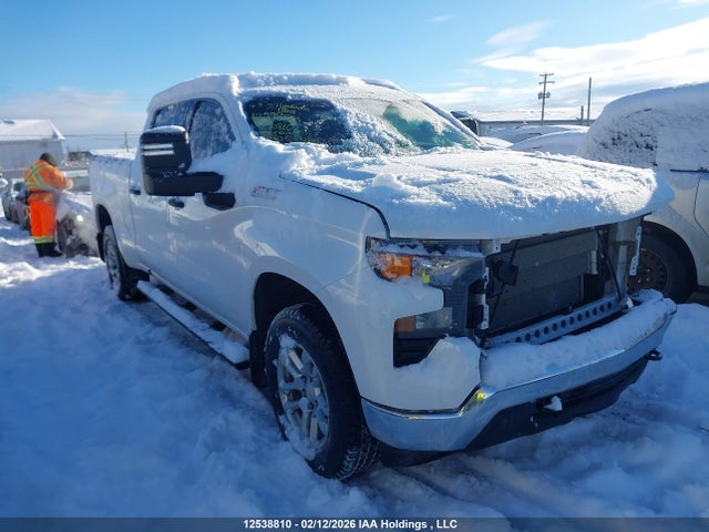 Aukcja sprzedaży 2023 Chevrolet Silverado 1500 Work Truck, vin: 3GCUDAED2PG208166, numer aukcji: 12538810