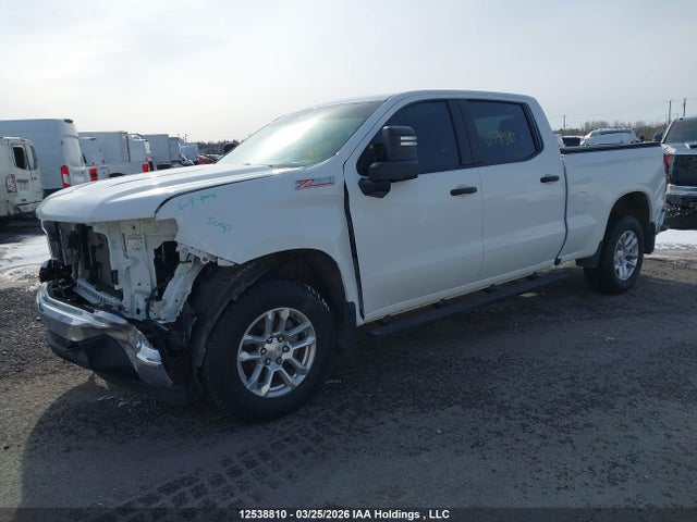 Aukcja sprzedaży 2023 Chevrolet Silverado 1500 Work Truck, vin: 3GCUDAED2PG208166, numer aukcji: 12538810