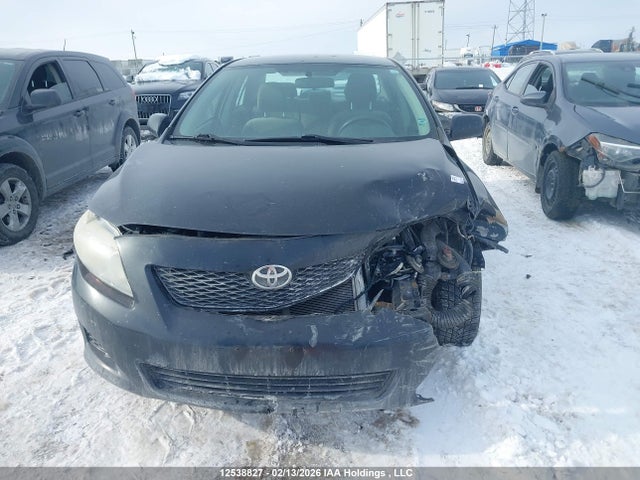 12538827 :رقم المزاد ، 2T1BU4EE0AC224272 vin ، 2010 Toyota Corolla Ce مزاد بيع
