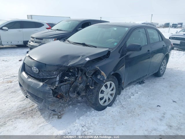 12538827 :رقم المزاد ، 2T1BU4EE0AC224272 vin ، 2010 Toyota Corolla Ce مزاد بيع