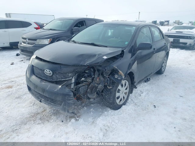 12538827 :رقم المزاد ، 2T1BU4EE0AC224272 vin ، 2010 Toyota Corolla Ce مزاد بيع