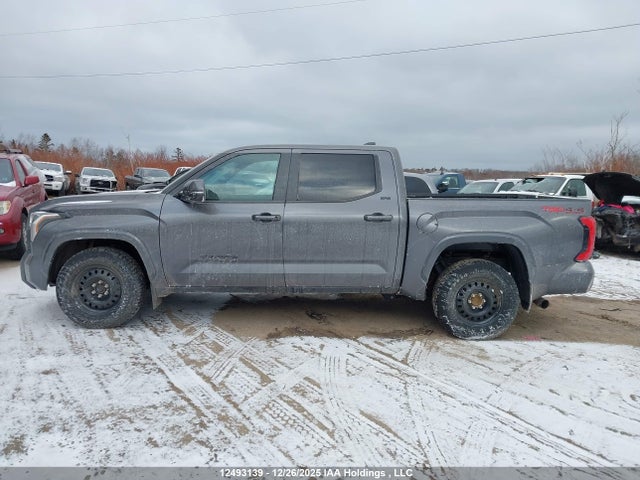 Toyota Tundra Sr 4x4 2024 5TFLA5DB1RX228256 Image 14