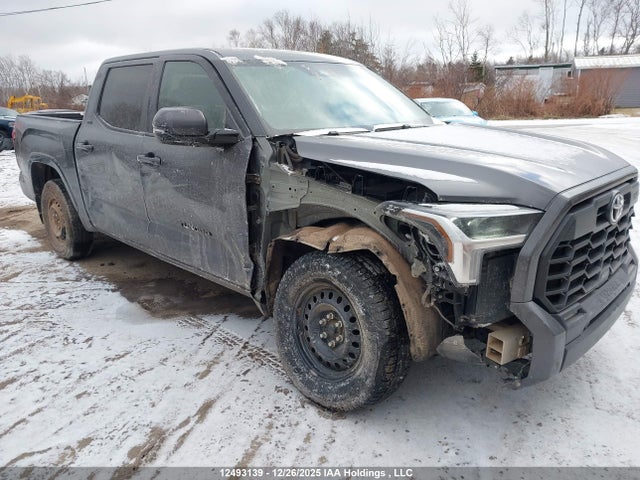 Toyota Tundra Sr 4x4 2024 5TFLA5DB1RX228256 Image 6
