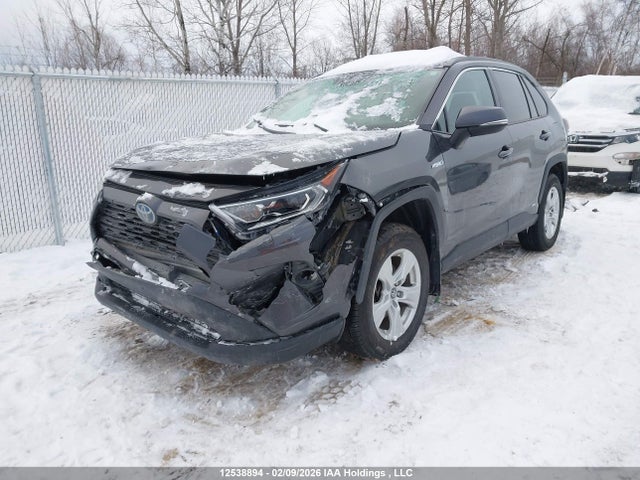 2T3RWRFV1KW003629 Toyota Rav4 Xle/xse