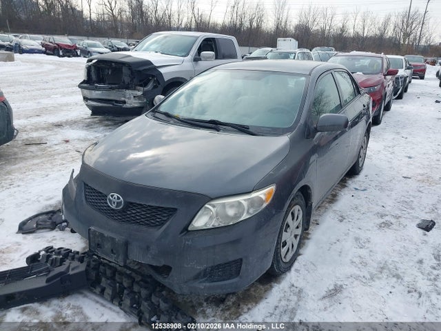 12538908 :رقم المزاد ، 2T1BU4EE4AC361165 vin ، 2010 Toyota Corolla S/le/xle مزاد بيع