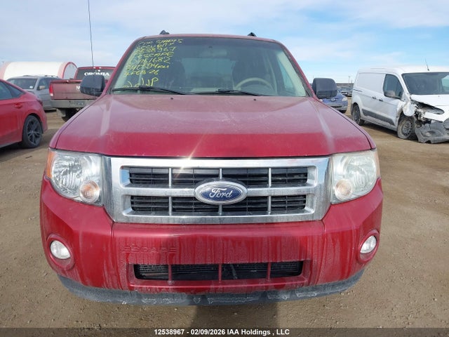 2011 Ford Escape Xlt Automatic მანქანა იყიდება აუქციონზე, vin: 1FMCU0D73BKA51682, აუქციონის ნომერი: 12538967