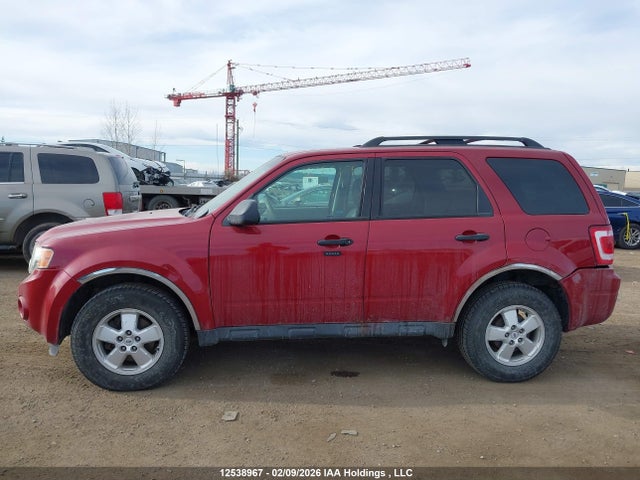 2011 Ford Escape Xlt Automatic მანქანა იყიდება აუქციონზე, vin: 1FMCU0D73BKA51682, აუქციონის ნომერი: 12538967