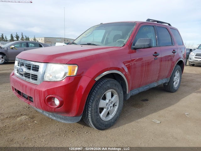 2011 Ford Escape Xlt Automatic მანქანა იყიდება აუქციონზე, vin: 1FMCU0D73BKA51682, აუქციონის ნომერი: 12538967