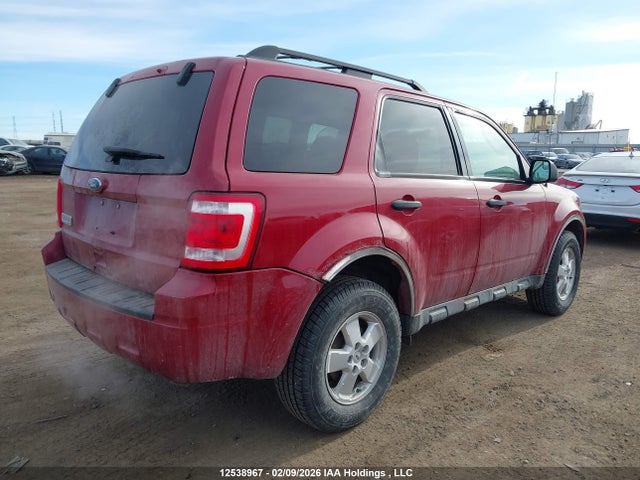 2011 Ford Escape Xlt Automatic მანქანა იყიდება აუქციონზე, vin: 1FMCU0D73BKA51682, აუქციონის ნომერი: 12538967
