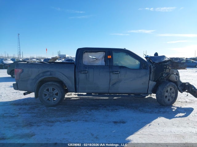 Продажа на аукционе авто 2016 Ford F150 Supercrew, vin: 1FTEW1EPXGKE36479, номер лота: 12539092