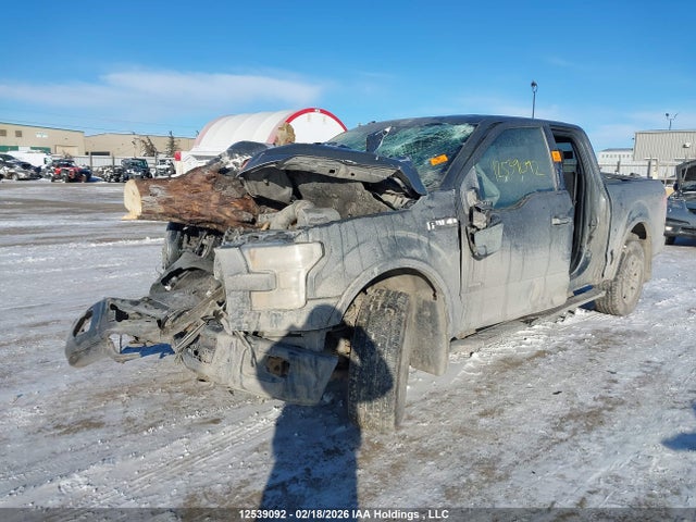Продажа на аукционе авто 2016 Ford F150 Supercrew, vin: 1FTEW1EPXGKE36479, номер лота: 12539092