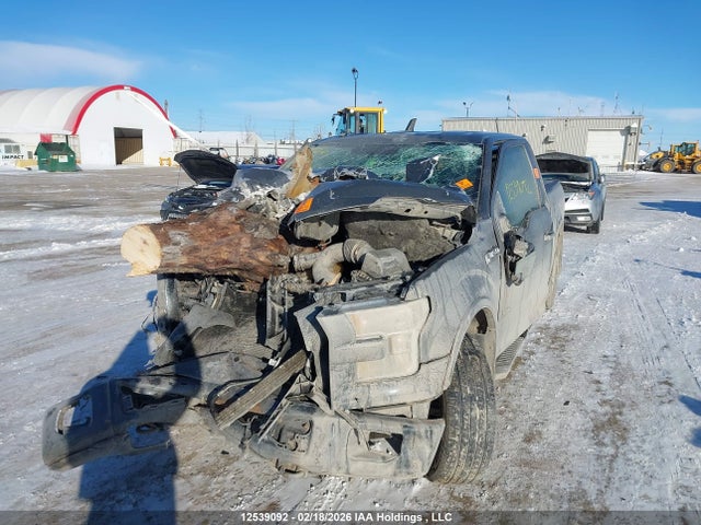 Продажа на аукционе авто 2016 Ford F150 Supercrew, vin: 1FTEW1EPXGKE36479, номер лота: 12539092