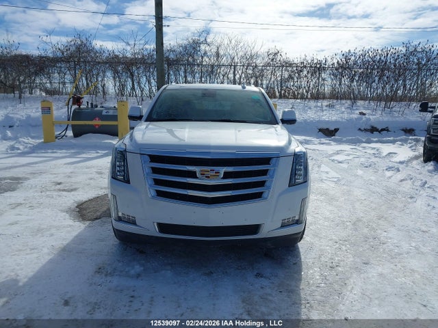 1GYS4BKJXLR163621 Cadillac Escalade Luxury