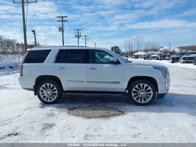 1GYS4BKJXLR163621 Cadillac Escalade Luxury