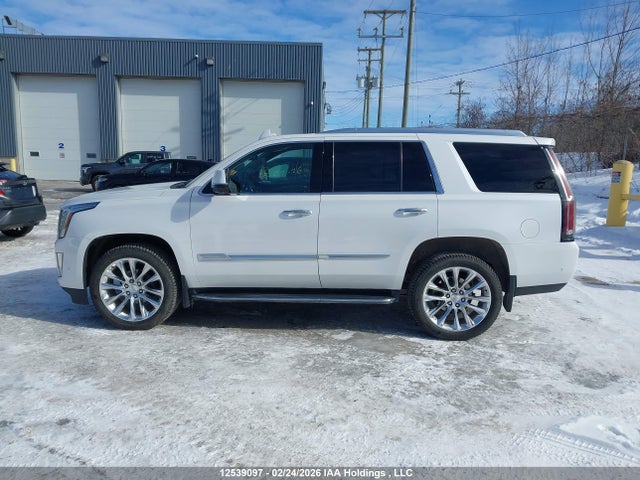 1GYS4BKJXLR163621 Cadillac Escalade Luxury