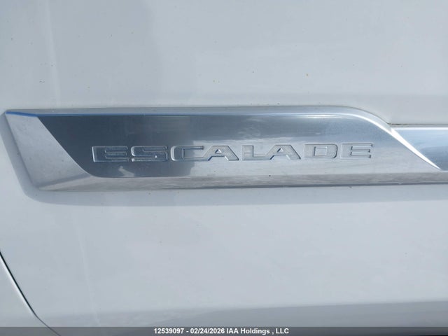 1GYS4BKJXLR163621 Cadillac Escalade Luxury