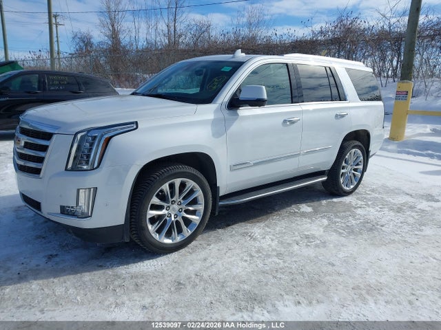 1GYS4BKJXLR163621 Cadillac Escalade Luxury