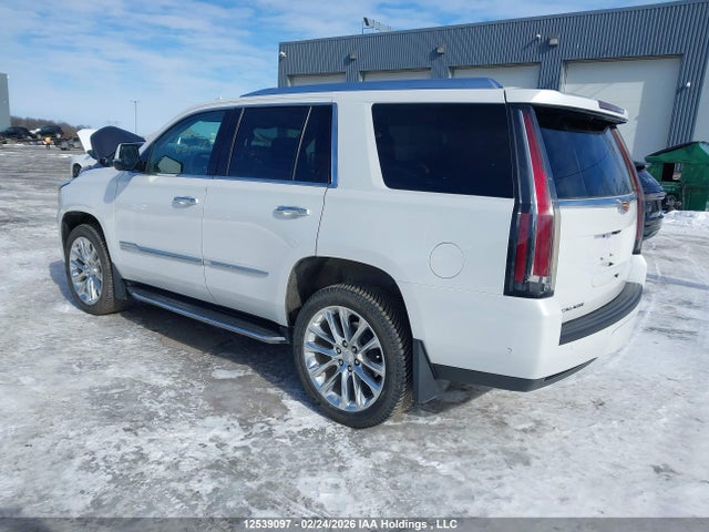 1GYS4BKJXLR163621 Cadillac Escalade Luxury