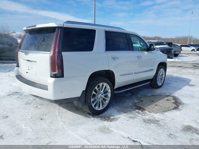 1GYS4BKJXLR163621 Cadillac Escalade Luxury
