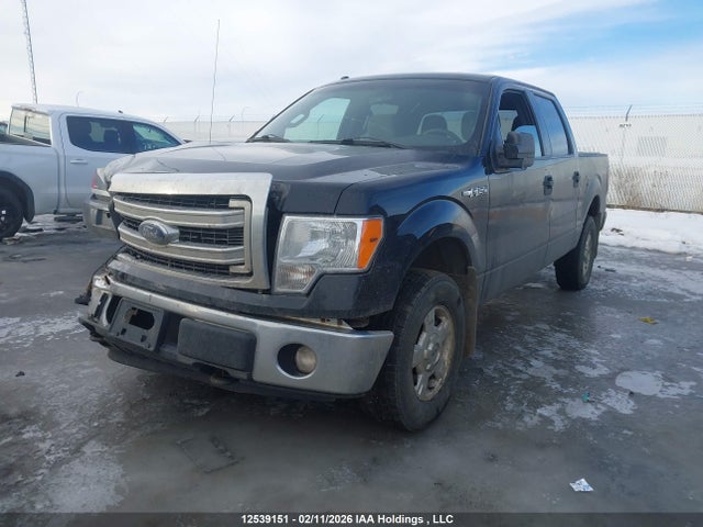 Продаж на аукціоні авто 2014 Ford F150 Supercrew, vin: 1FTFW1EF9EFD00085, номер лоту: 12539151