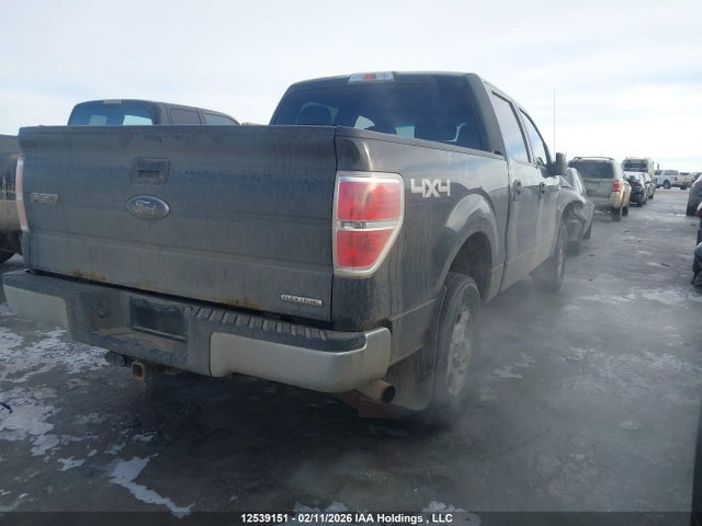 Продаж на аукціоні авто 2014 Ford F150 Supercrew, vin: 1FTFW1EF9EFD00085, номер лоту: 12539151