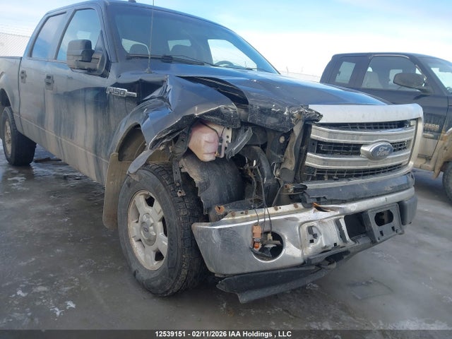 Продаж на аукціоні авто 2014 Ford F150 Supercrew, vin: 1FTFW1EF9EFD00085, номер лоту: 12539151