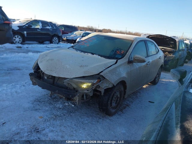 2T1BURHE7GC518690 Toyota COROLLA LE