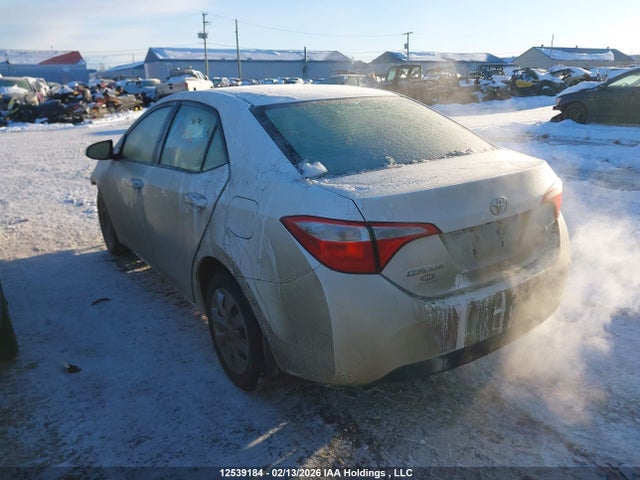 2T1BURHE7GC518690 Toyota COROLLA LE