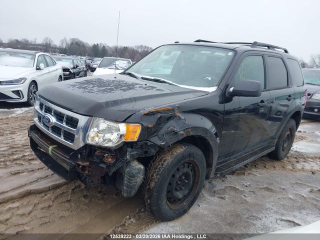 2011 Ford Escape Xlt Automatic მანქანა იყიდება აუქციონზე, vin: 1FMCU9D75BKA00494, აუქციონის ნომერი: 12539223